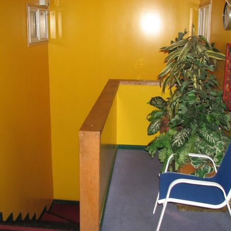 Hostal El Mirador Пунта-Аренас Екстер'єр фото